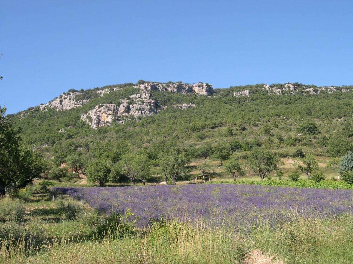 Domaine De Bois Joli Villa Buis-les-Baronnies Ngoại thất bức ảnh